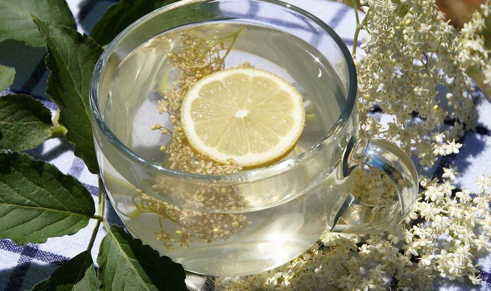 10 Surprising Benefits of Moringa Extract You Need to Know