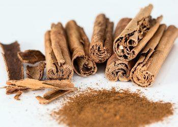 10 Surprising Benefits of Moringa Powder You Need to Know