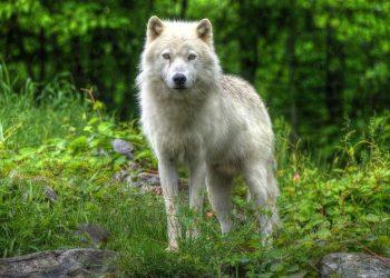 10 Surprising Benefits of Omega 3 You Didn’t Know About