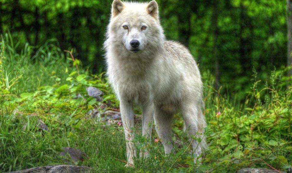 10 Surprising Benefits of Omega 3 You Didn’t Know About