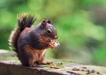 10 Surprising Benefits of Paleo Natural Eating