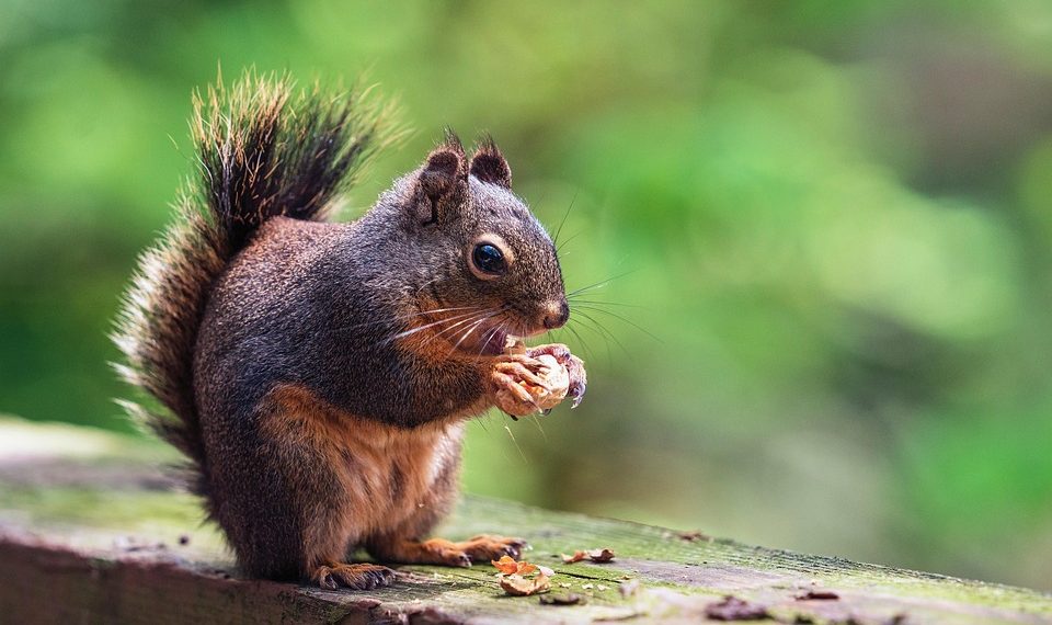 10 Surprising Benefits of Paleo Natural Eating