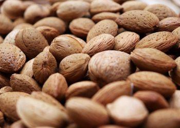 10 Surprising Benefits of Plant-Based Protein You Need to Know