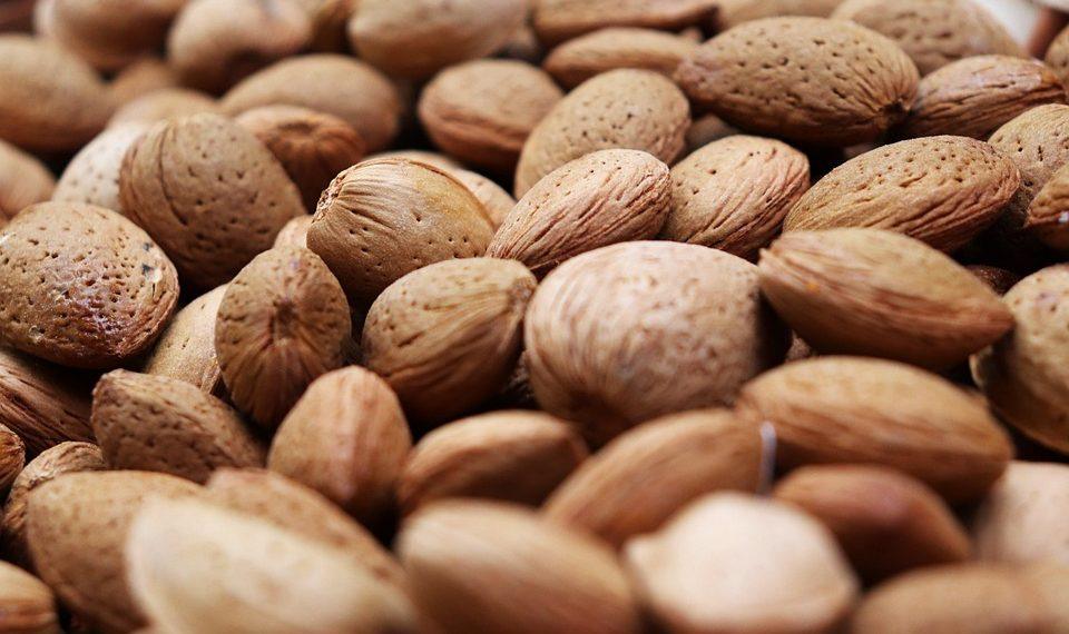 10 Surprising Benefits of Plant-Based Protein You Need to Know