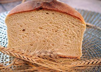 10 Surprising Benefits of Whole Grains You Need to Know