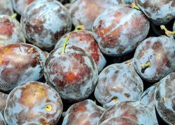 10 Surprising Benefits of a Fiber-Rich Diet