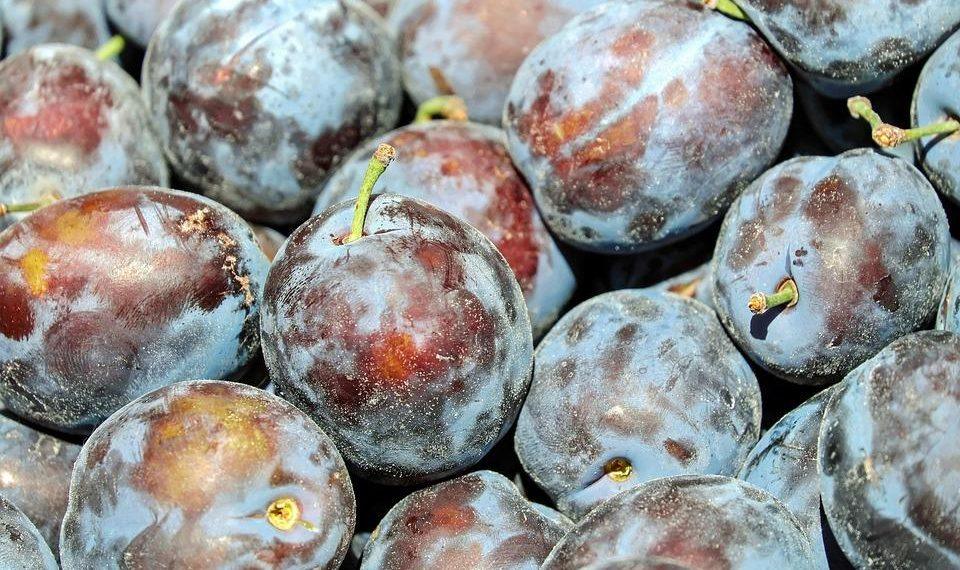 10 Surprising Benefits of a Fiber-Rich Diet