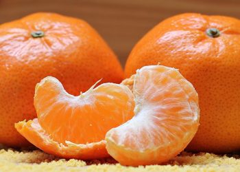 10 Surprising Foods Packed with Vitamin C You Must Try