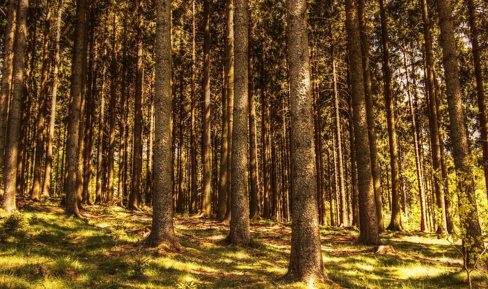 10 Surprising Mood Boosters You Need to Try Today