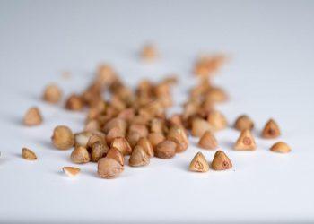 10 Surprising Moringa Benefits for Your Health Today!