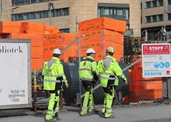 10 Surprising Moringa Nutrition Facts You Must Know!