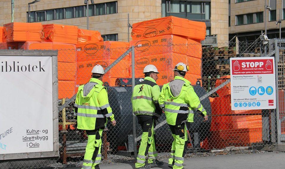 10 Surprising Moringa Nutrition Facts You Must Know!