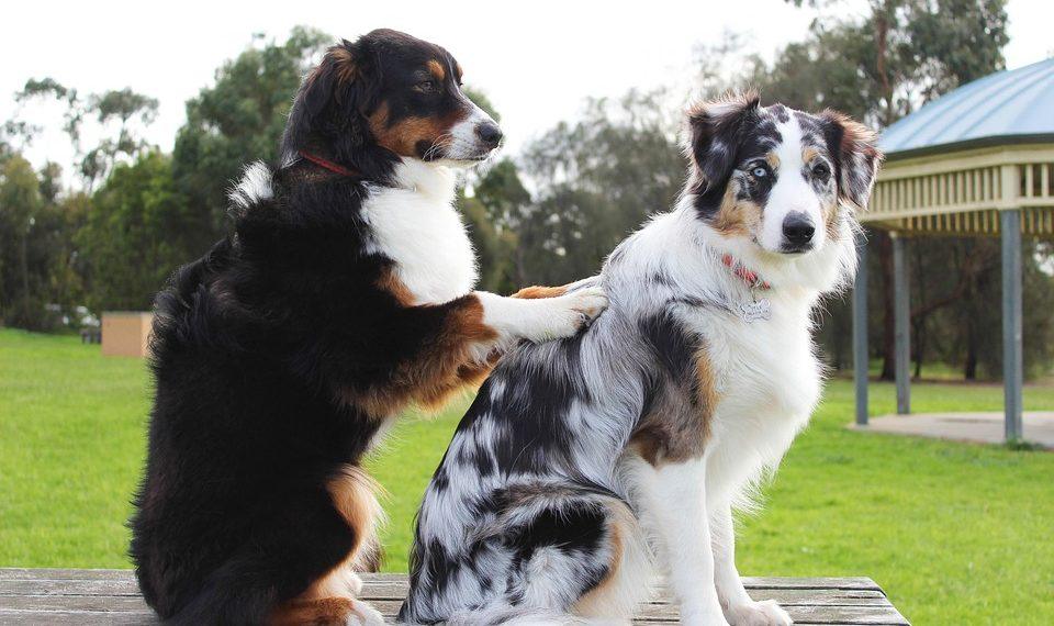 10 Transformative Wellness Retreats You Must Experience