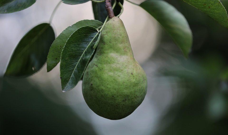 10 Superfoods That Fight Cancer Naturally!