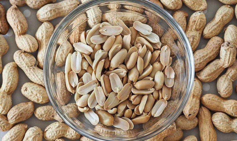 10 High Protein Meals That Will Fuel Your Day