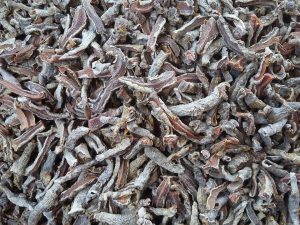 7 Surprising Benefits of Turmeric You Need to Know