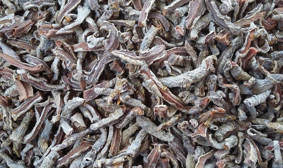 7 Surprising Benefits of Turmeric You Need to Know