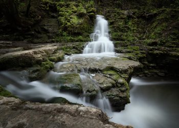 10 Natural Mood Boosters You Need to Try Today!