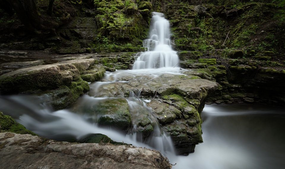 10 Natural Mood Boosters You Need to Try Today!