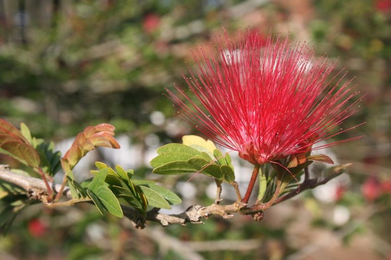 7 Natural Ways to Boost Your Fertility Today