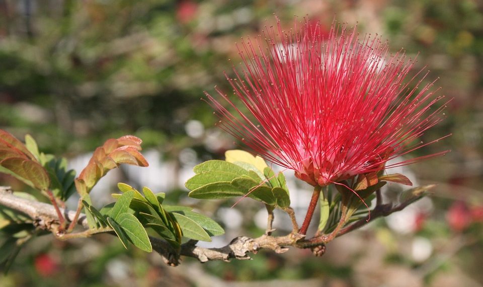 7 Natural Ways to Boost Your Fertility Today