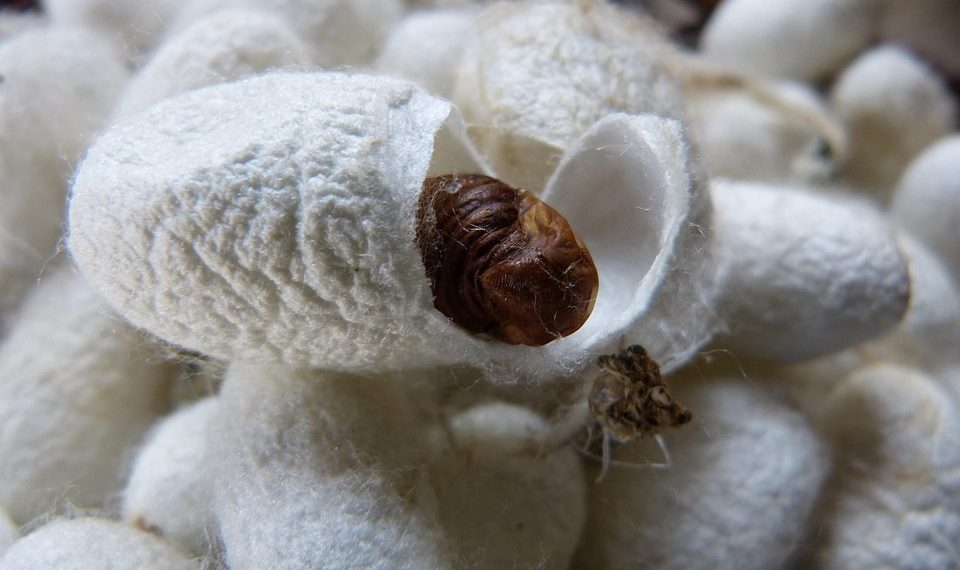 10 Natural Ways to Boost Your Metabolism Fast