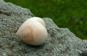 7 Anti-Aging Supplements That Actually Work Wonders!