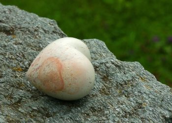 7 Anti-Aging Supplements That Actually Work Wonders!