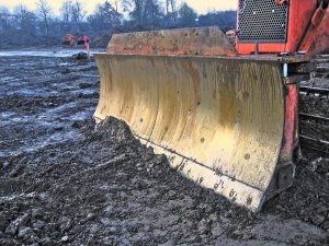 5 Easy Ways to Boost Your NAD Levels Naturally