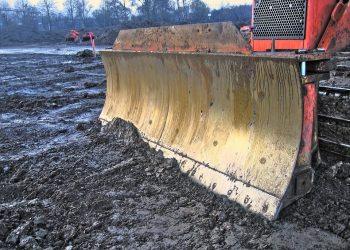 5 Easy Ways to Boost Your NAD Levels Naturally