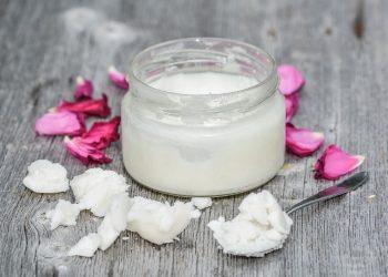 5 Healthy Fats That Boost Your Brain Power Today