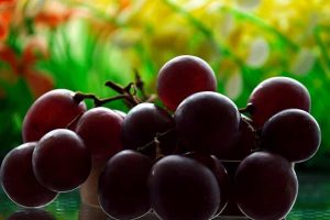 5 Key Secrets to Mastering Nutrient Timing for Gains