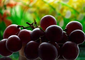 5 Key Secrets to Mastering Nutrient Timing for Gains