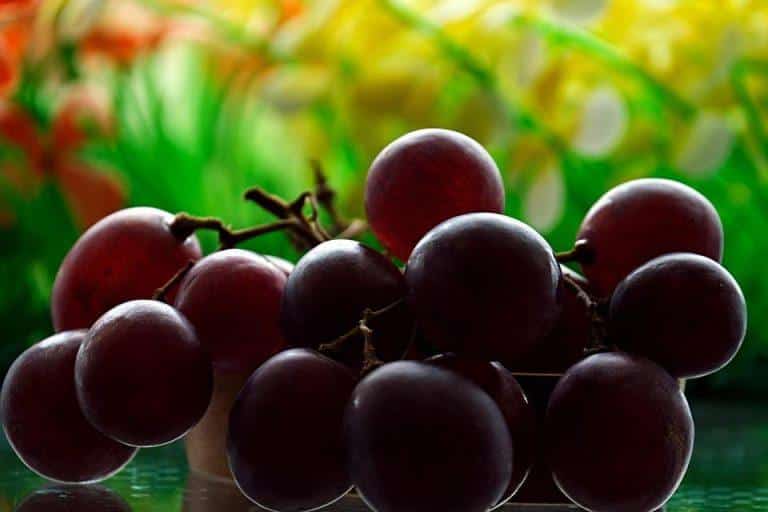 5 Key Secrets to Mastering Nutrient Timing for Gains