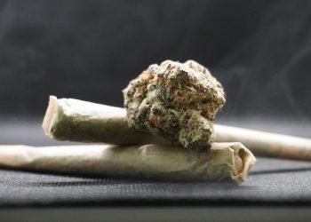 5 Reasons Collagen is Essential for Joint Health