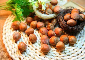 5 Reasons You Need Collagen for Youthful Skin Now