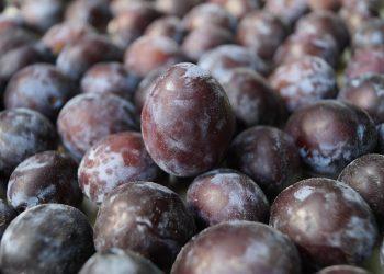 5 Seasonal Superfoods to Boost Your Health Today