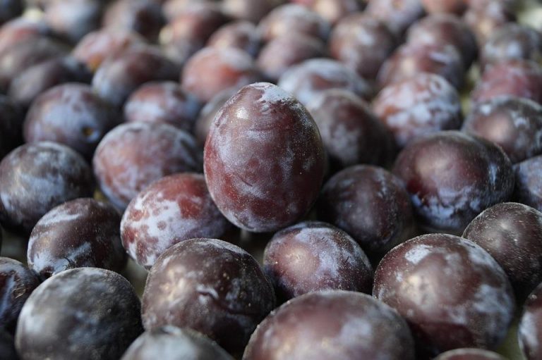 5 Seasonal Superfoods to Boost Your Health Today