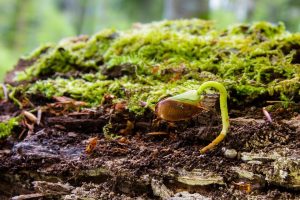 5 Secrets to Ageless Skin You Need to Try Today