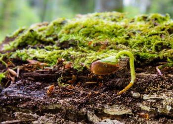 5 Secrets to Ageless Skin You Need to Try Today