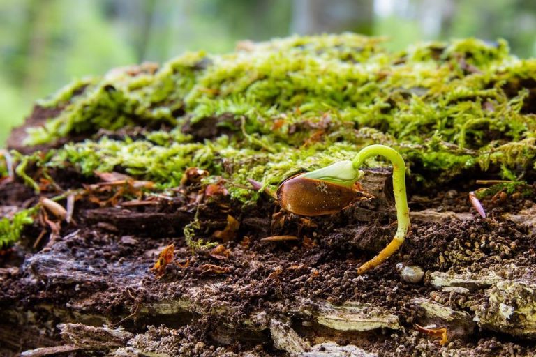 5 Secrets to Ageless Skin You Need to Try Today