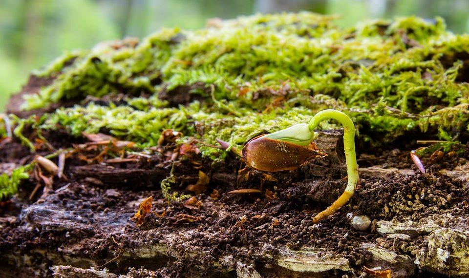 5 Secrets to Ageless Skin You Need to Try Today