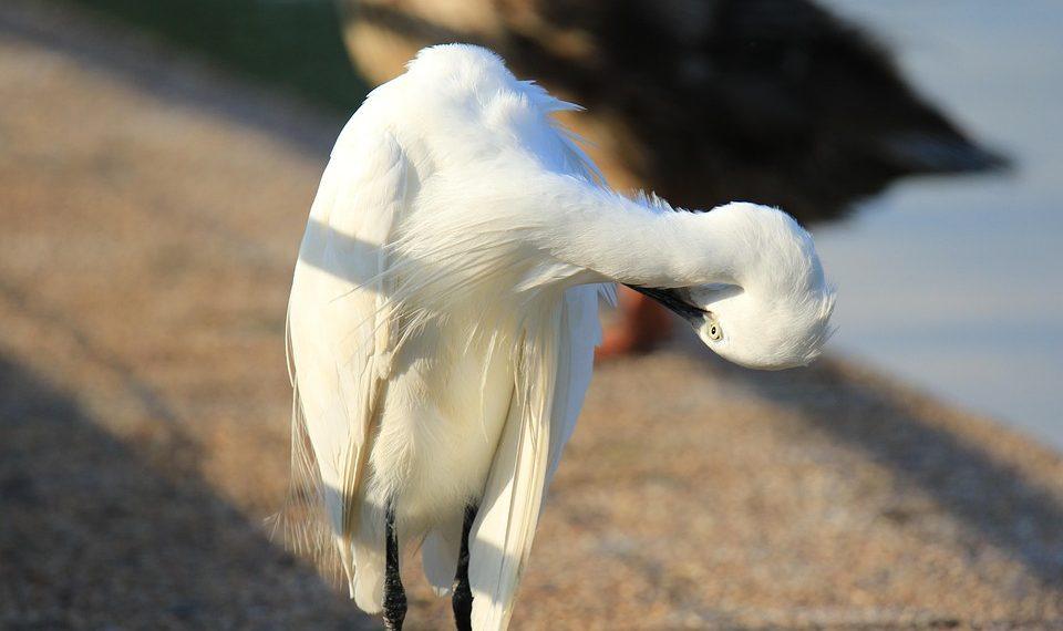 5 Secrets to Boost Your Skin's Elasticity Naturally