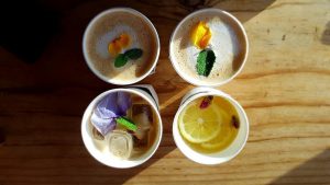 7 Adaptogenic Herbs to Conquer Your Stress Today