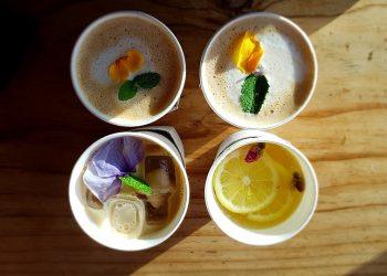 7 Adaptogenic Herbs to Conquer Your Stress Today