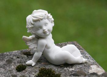 7 Anti-Aging Supplements You Must Try Today!