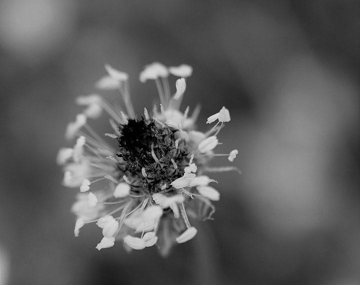 7 Anti-Inflammatory Foods You Need in Your Diet Today