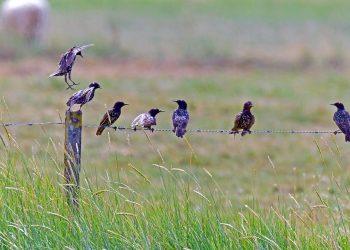 7 Best Collagen Supplements for Youthful Skin