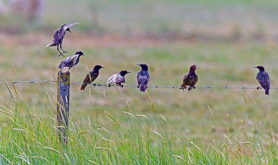 7 Best Collagen Supplements for Youthful Skin