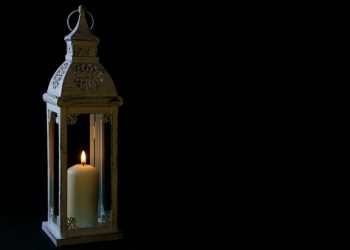 7 Best Meal Replacement Shakes for Busy Lifestyles